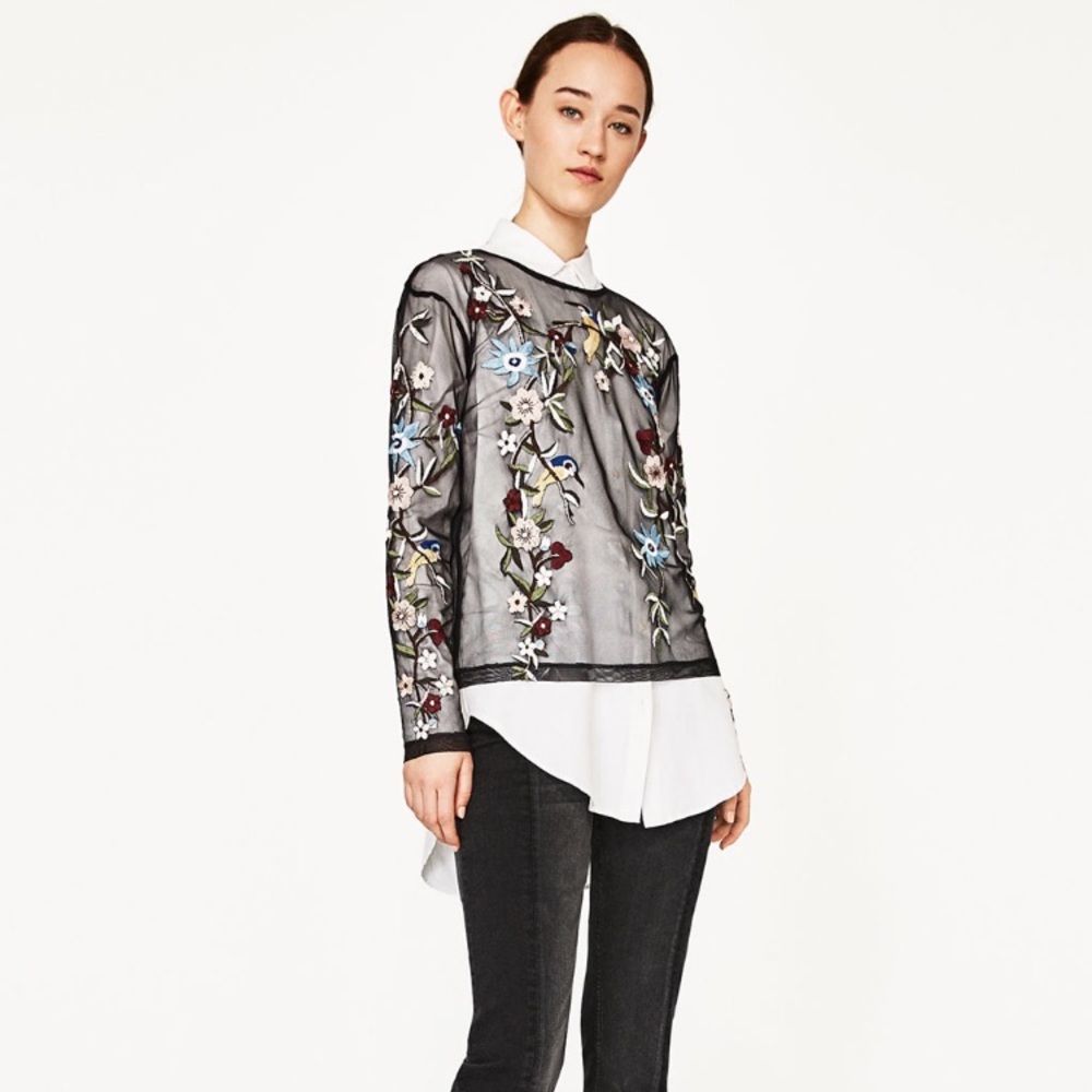 Zara Embroidered Tulle Top